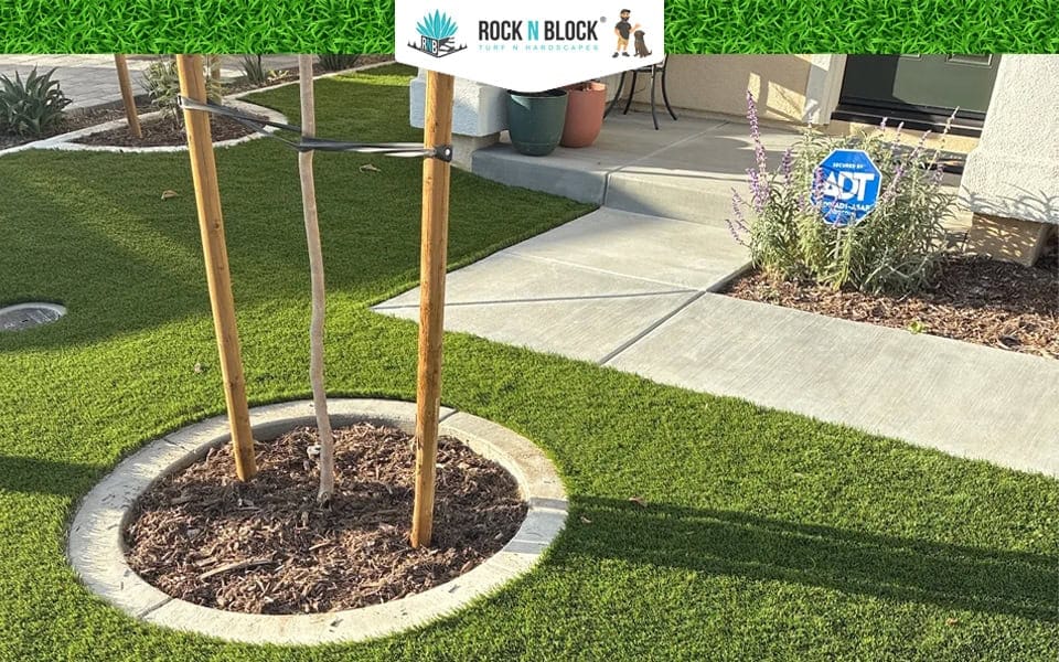 Artificial Grass vs Natural Grass
