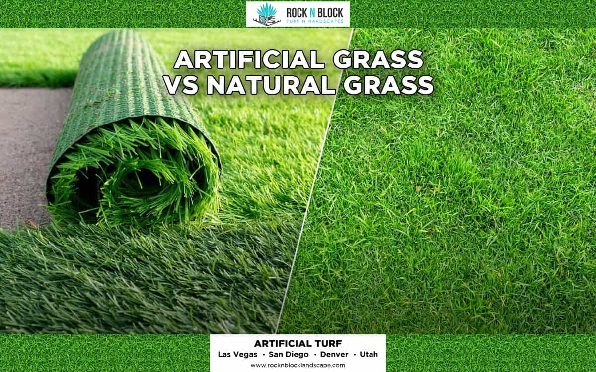 Artificial Grass vs Natural Grass