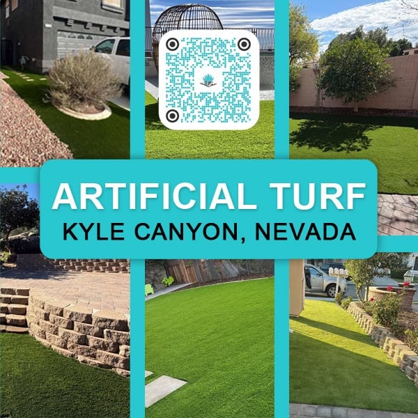 Artificial Turf Kyle Canyon, Nevada B1 QR