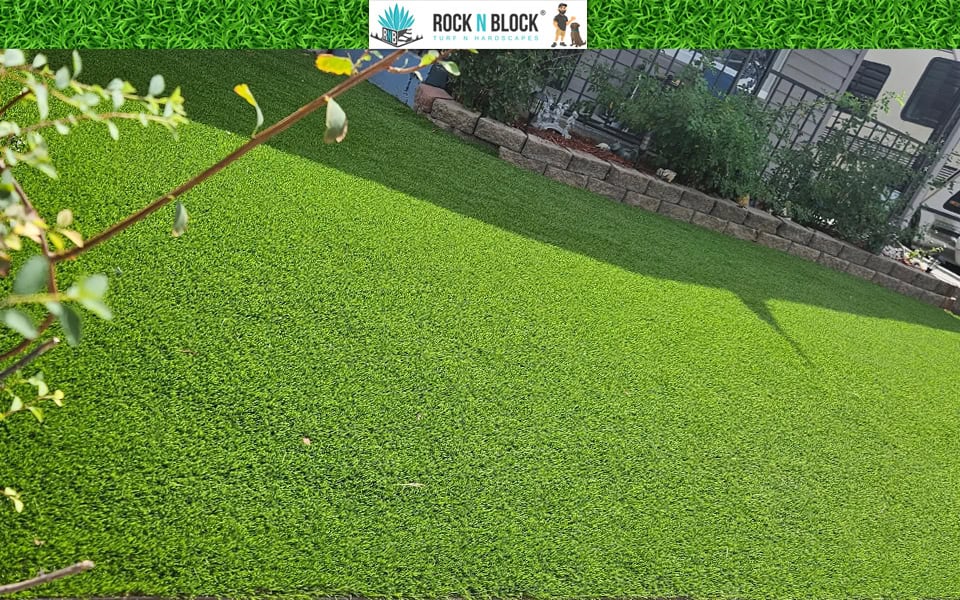 What to Expect From Professional Turf Installation