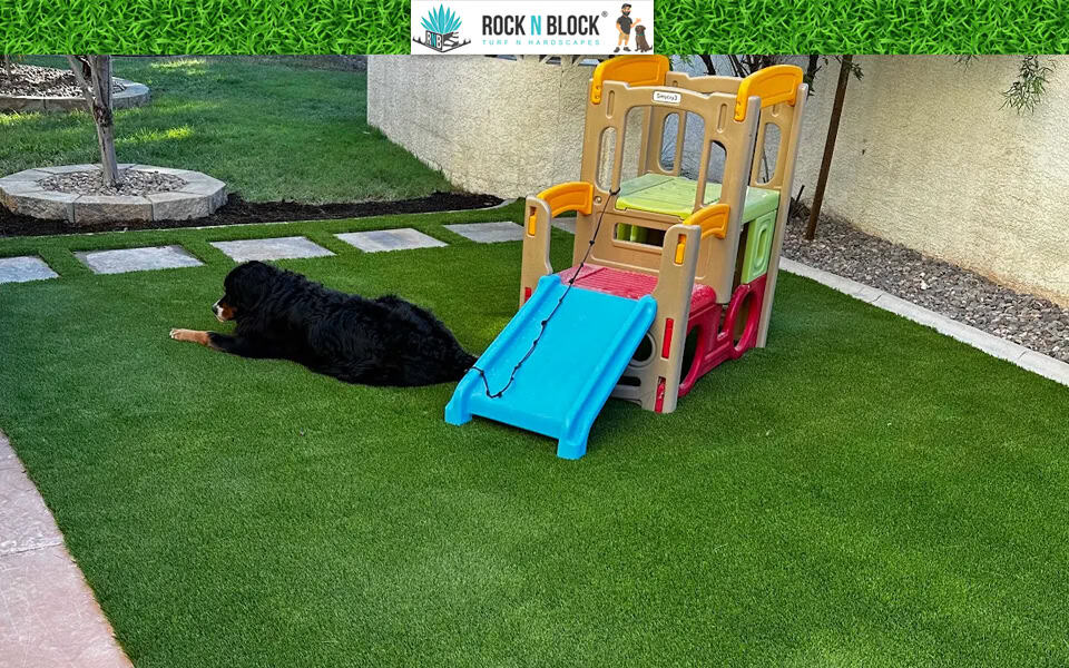 Is Artificial Turf Right for Your Henderson Home?