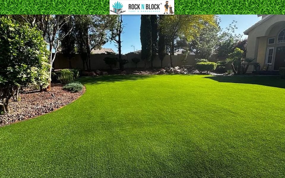 How to Choose the Right Artificial Turf for Your Tampa Yard How to Choose the Right Artificial Turf for Your Tampa Yard
