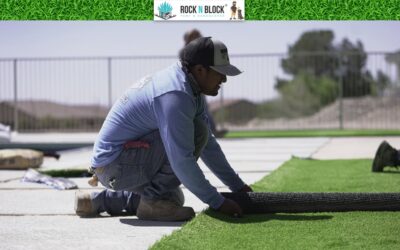 Why Tampa Homeowners Are Switching to Artificial Turf, and Who They Trust to Install It