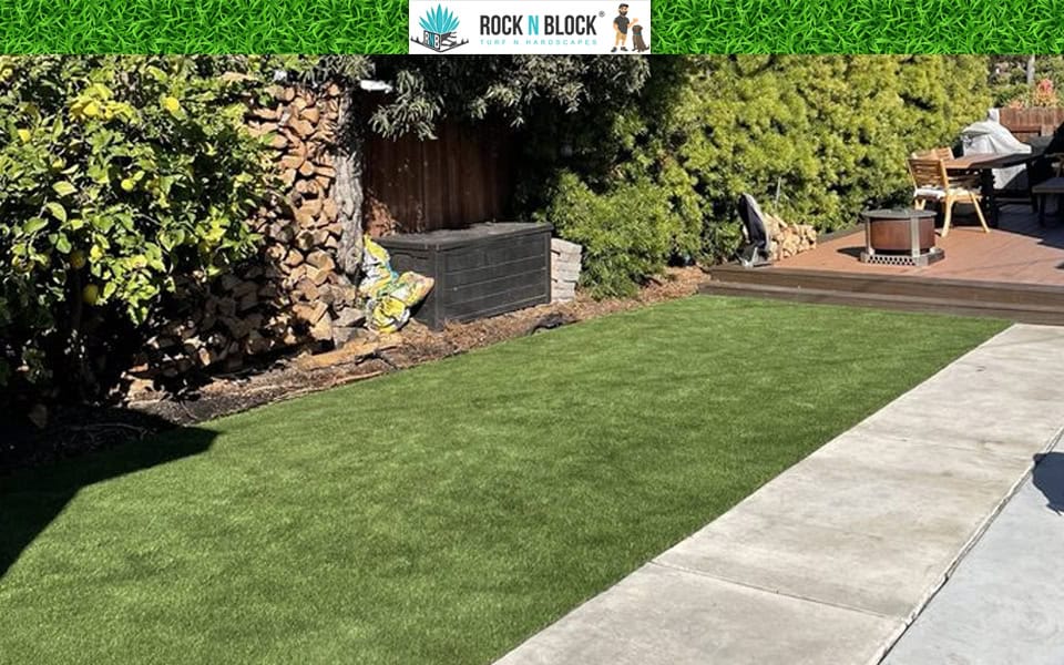 Ready to Transform Your Backyard? Here's Your Next Step Ready to Transform Your Backyard? Here's Your Next Step