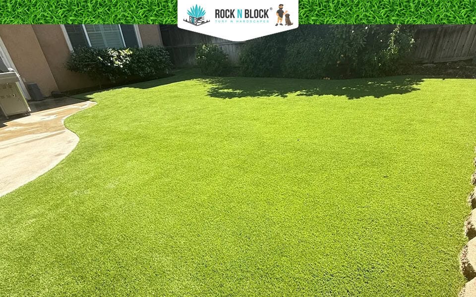 Popular Backyard Transformation Ideas