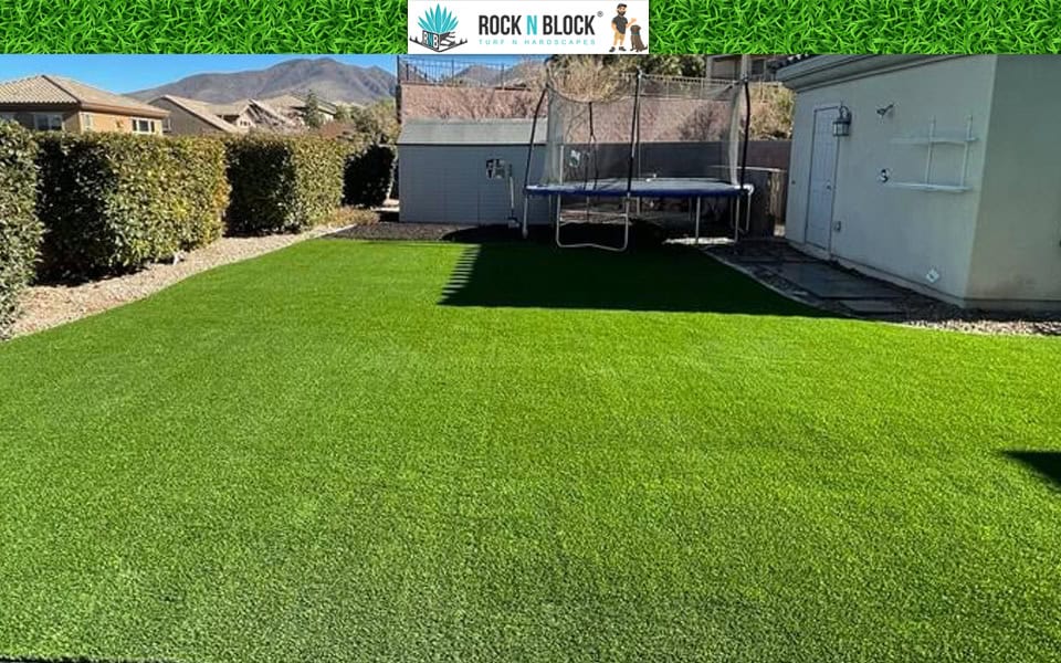 What Sets Rock N Block Apart in Tampa What Sets Rock N Block Apart in Tampa