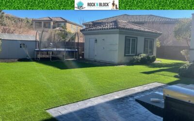 Custom Landscape Design in Tampa, FL, Transforming Outdoor Spaces From Vision to Reality