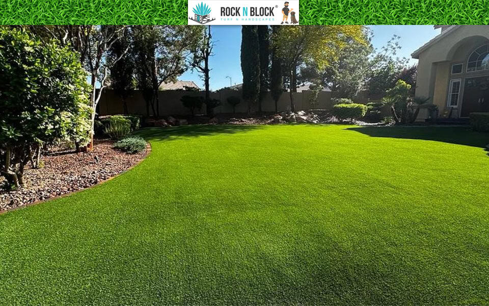 How a Custom Landscape Adds Value to Your Tampa Home How a Custom Landscape Adds Value to Your Tampa Home