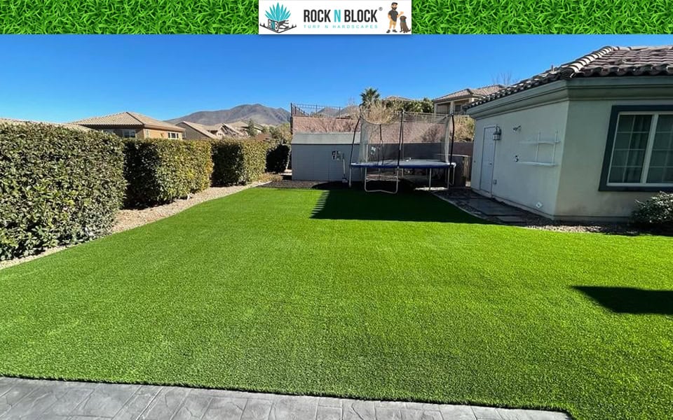 Why Desert Landscaping Makes Sense in Henderson, NV Why Desert Landscaping Makes Sense in Henderson, NV