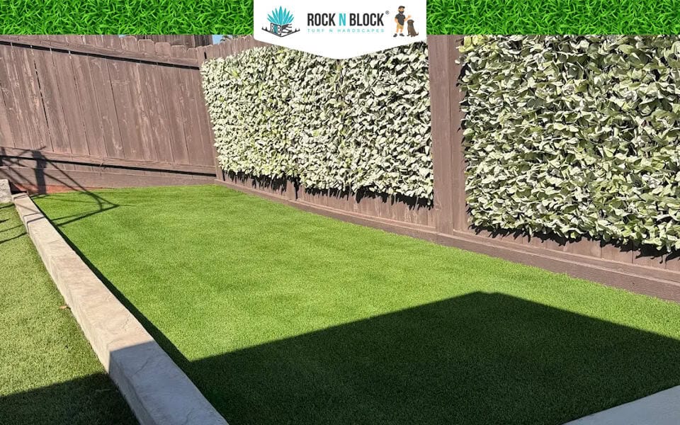 What Is Drought-Tolerant Landscaping? What Is Drought-Tolerant Landscaping?
