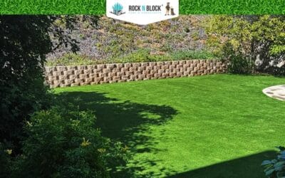 Drought-Tolerant Landscaping Ideas in San Bernardino, CA