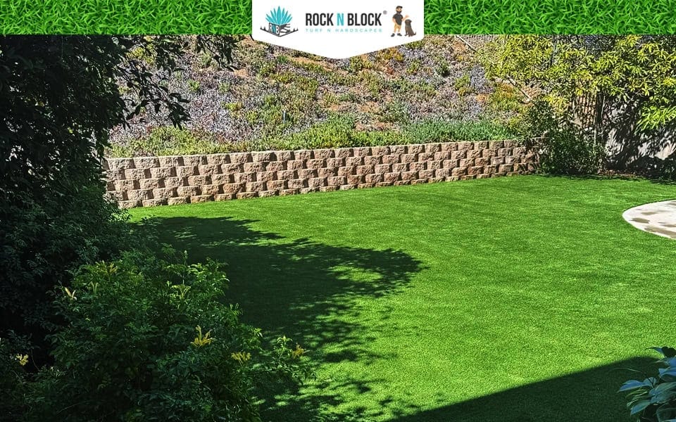 Drought-Tolerant Landscaping Ideas for San Bernardino, CA Feature Image Drought-Tolerant Landscaping Ideas for San Bernardino, CA Feature Image