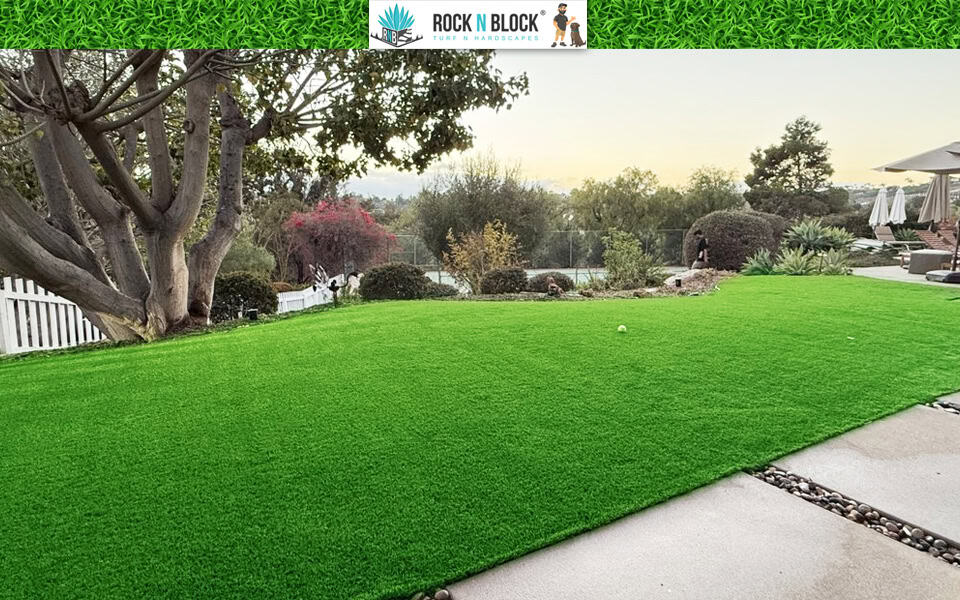 Why Drought Tolerant Landscaping Is the Smart Choice in San Diego Why Drought Tolerant Landscaping Is the Smart Choice in San Diego