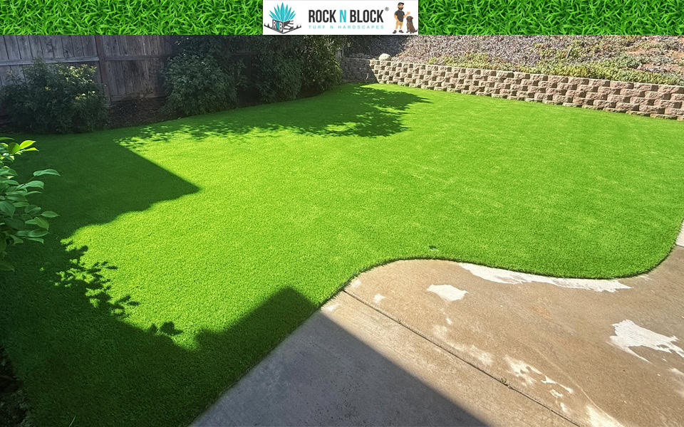 The Most Common Mistakes San Diego Homeowners Make The Most Common Mistakes San Diego Homeowners Make