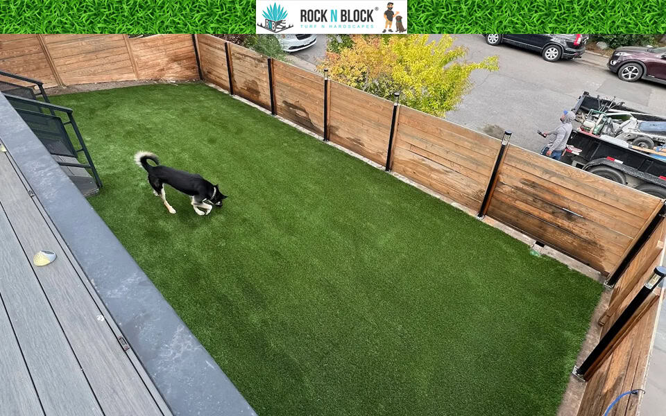 What Does Full Service Landscaping Actually Mean?