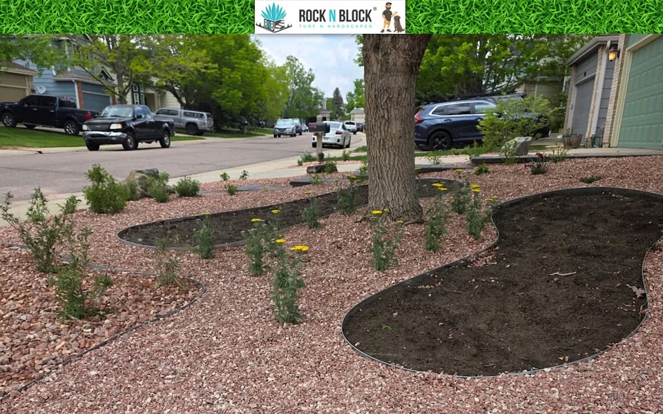 Landscaping Services We Offer in Castle Rock, CO