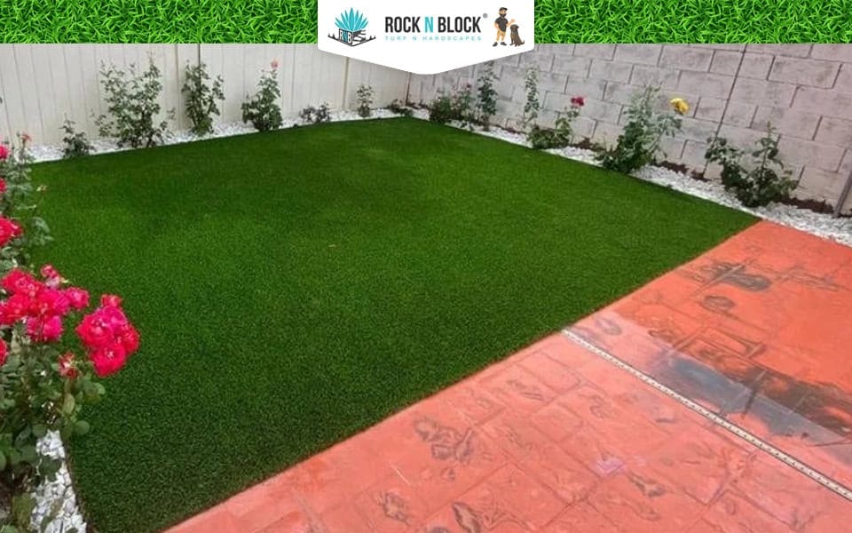 Backyard Transformation Services in San Bernardino, CA