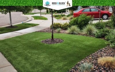 Complete Guide to Full Service Landscaping in San Bernardino, CA: Transform Your Outdoor Living Space