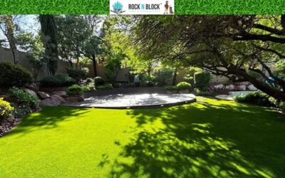The Tampa Homeowner’s Guide to Full-Service Landscaping, One Team, Zero Stress