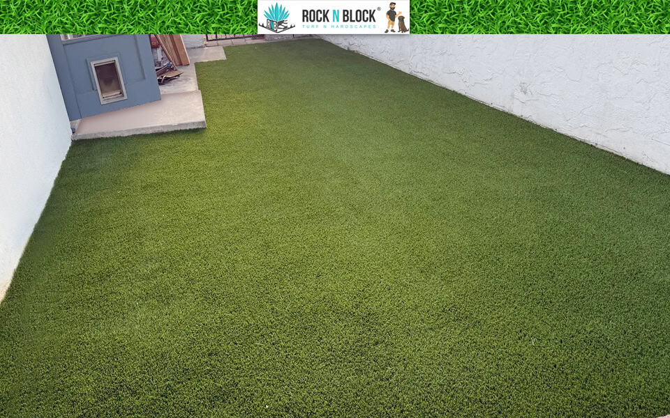 What to Look for in a Full-Service Landscaping Company