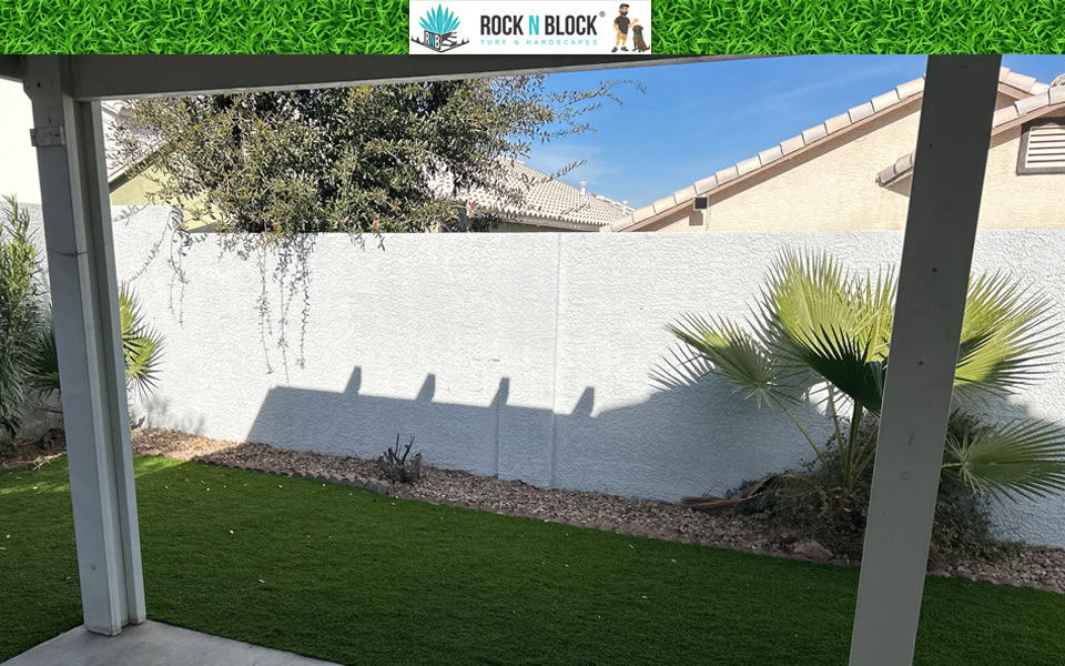 The Most Common Landscape Design Mistakes Las Vegas Homeowners Make The Most Common Landscape Design Mistakes Las Vegas Homeowners Make