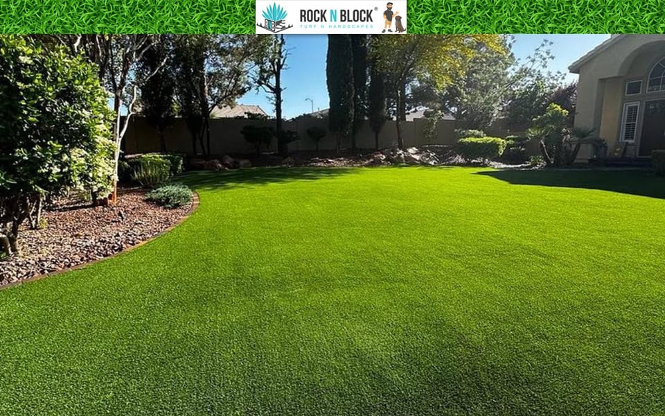 Popular Landscape Design Features in San Diego Popular Landscape Design Features in San Diego