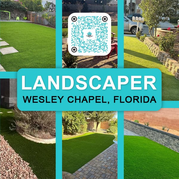 Landscaper Wesley Chapel, Florida B1 QR Landscaper Wesley Chapel, Florida B1 QR