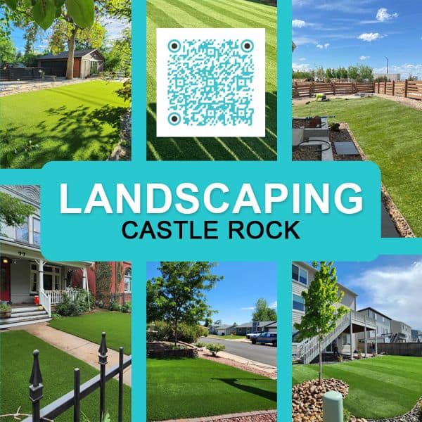 Landscaping Castle Rock body image 1.jpg