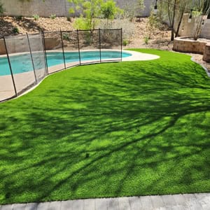 Landscaping Mesquita B2 Landscaping Mesquita B2