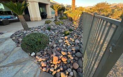 Artificial Turf Installation vs. Xeriscaping – A Guide for Homeowners