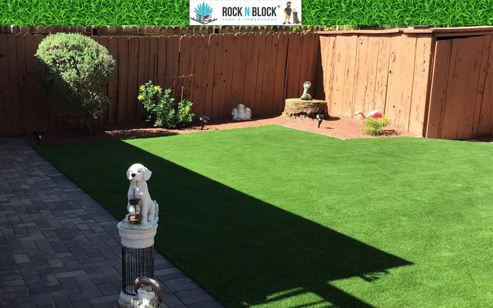 Why Low Water Landscaping Makes Sense in Henderson Why Low Water Landscaping Makes Sense in Henderson