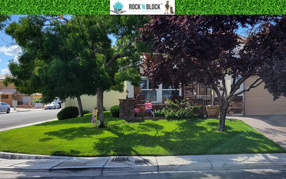 Low water landscaping Henderson NV Feature Image Low water landscaping Henderson NV Feature Image