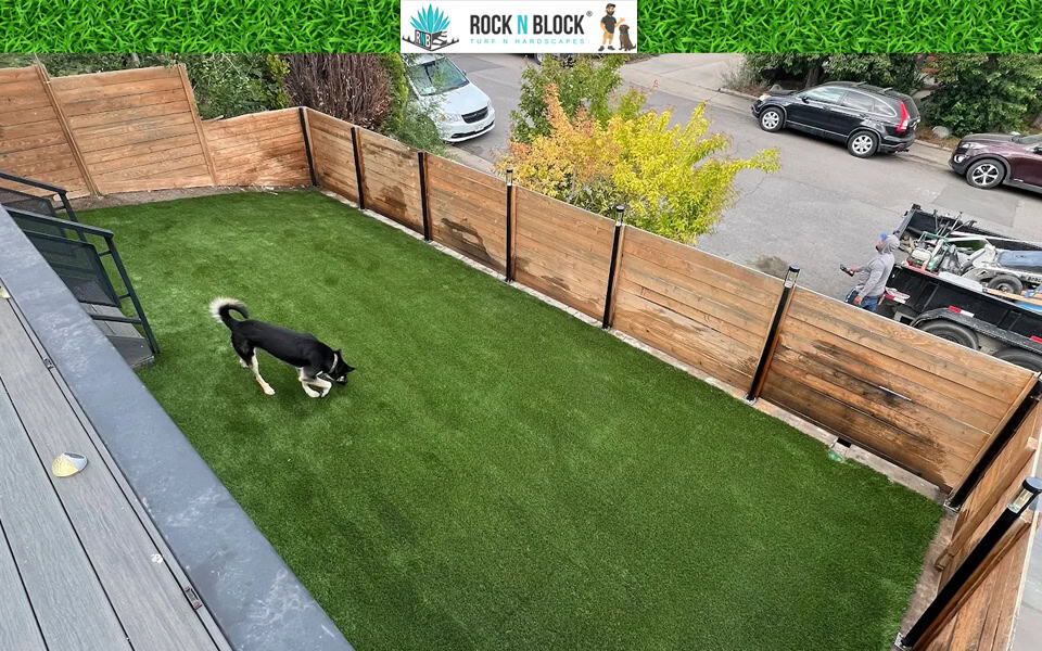 What to Expect When You Work With Rock N Block What to Expect When You Work With Rock N Block