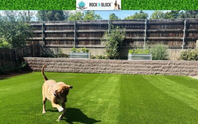 The Castle Rock Homeowner’s Guide to Retaining Wall Installation