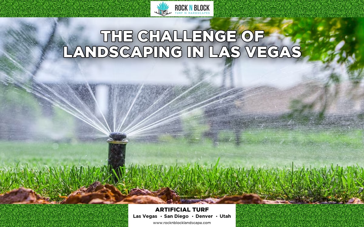 The Challenge of Landscaping in Las Vegas