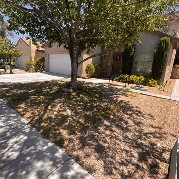 artificial turf aliso viejo B1 artificial turf aliso viejo B1