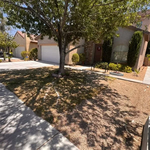 artificial turf aliso viejo B1