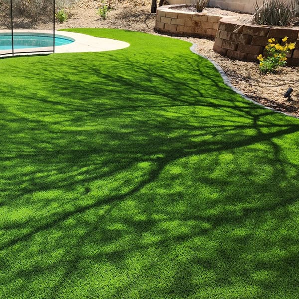 artificial turf beaver dam B1 artificial turf beaver dam B1