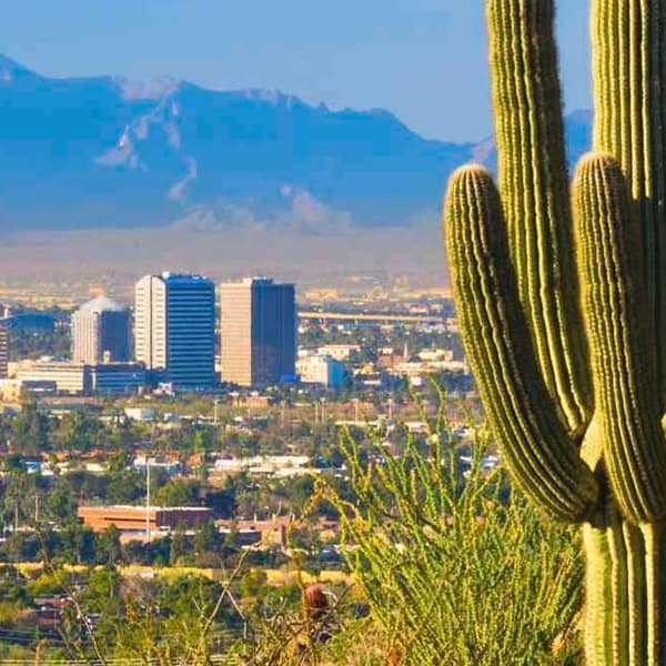 artificial turf glendale arizona B2 artificial turf glendale arizona B2