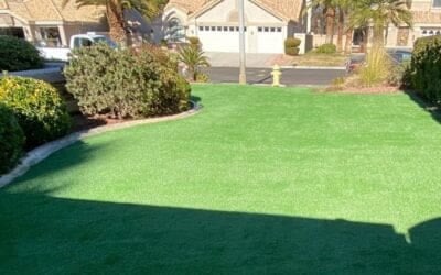 What Makes Artificial Turf a Smart Investment for Utah Homeowners?