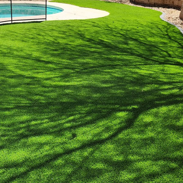 artificial turf lemon grove B1