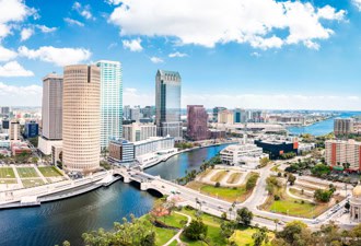 artificial turf service area location tampa