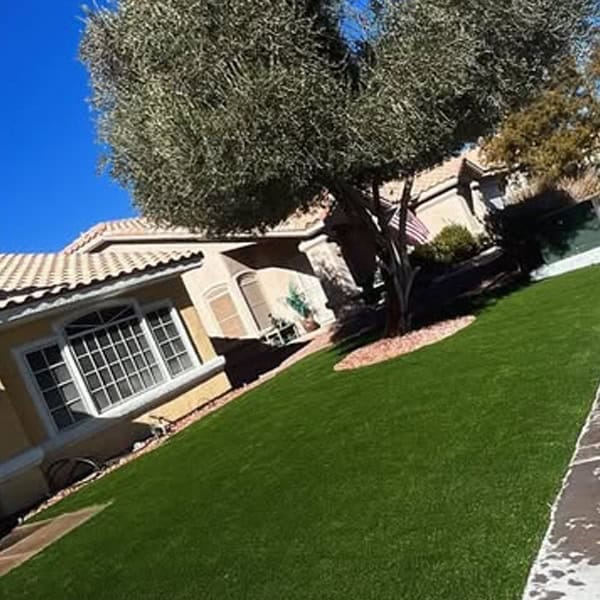 artificial turf tempe arizona B1.jpg artificial turf tempe arizona B1