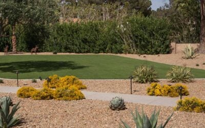 What Eco-Friendly Landscaping Options Are Available in Las Vegas?
