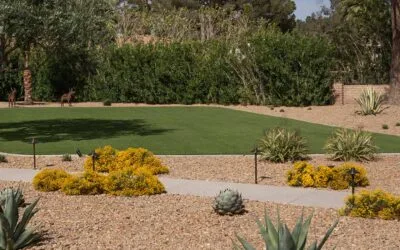 What Eco-Friendly Landscaping Options Are Available in Las Vegas?