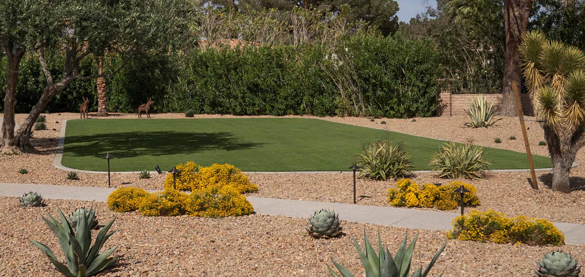eco-friendly landscaping las vegas hero image.jpg