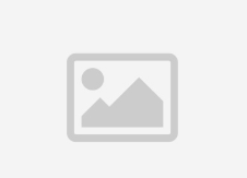 artificial turf saint petersburg B1