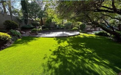 What Are the Best Landscape Design Services Near Me in Las Vegas?