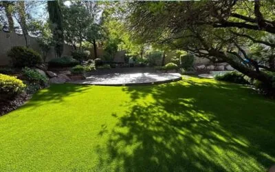 What Are the Best Landscape Design Services Near Me in Las Vegas?