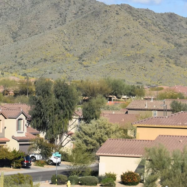 landscaping anthem B2.jpg